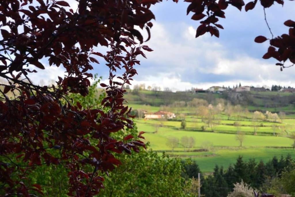 فيلا Casa Flo Polignac  المظهر الخارجي الصورة